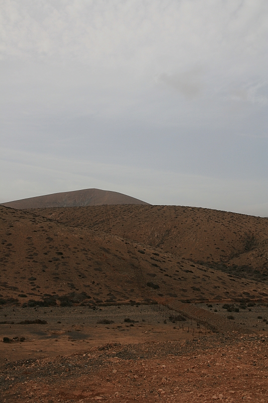 Kanary_2010 009